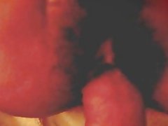 Taïwanais princesse chatte poilue